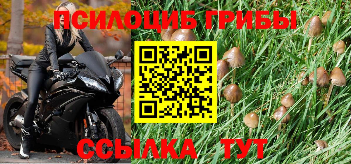 Карачаевск  Галлюциногенные грибы мухоморы  Вход с VPN 